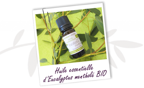 Eucalyptus-mentholé